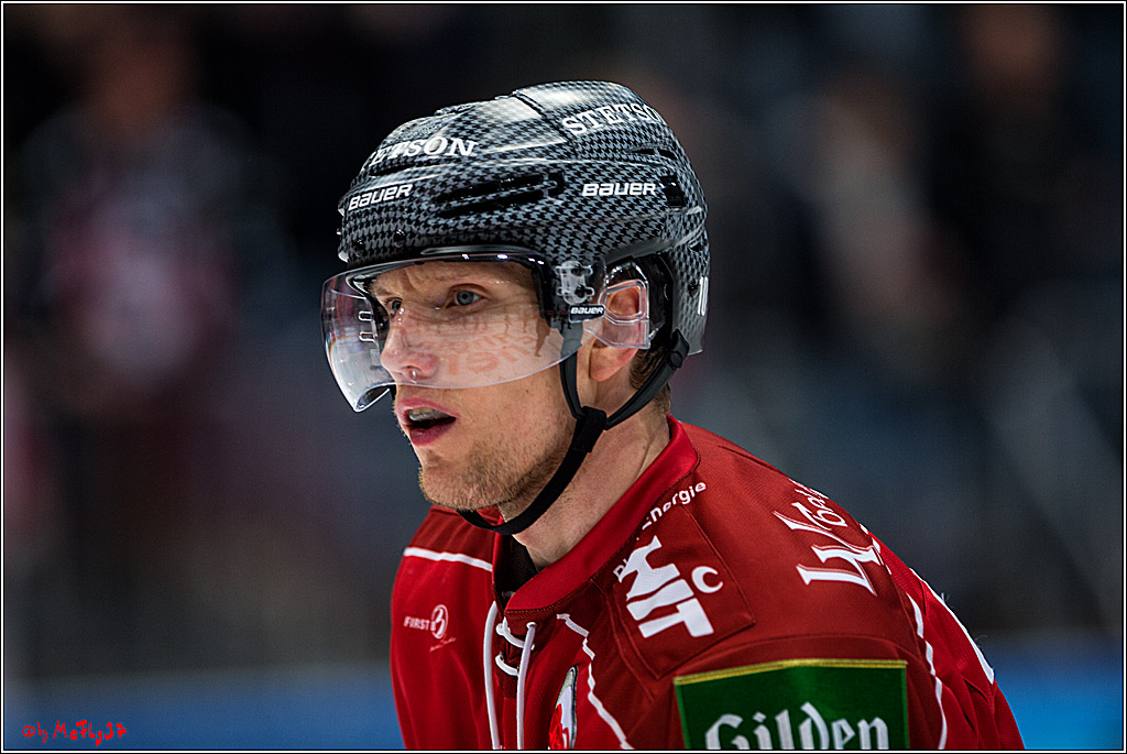 Koelner Haie - Nuernberger Ice Tiger, 04.12.2016